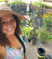 Clearance Perennials for Gardening Enthusiasts