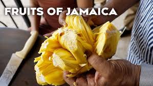 Five Most Popular Jamaican Mangoes