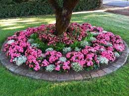 Pin Di Nellie Lopez Berrios Su Garden Idee Giardino Fiorito Aiuola Aiuole