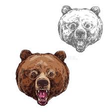 Born in dieuson octave, kodak black is a rapper based out of florida. Bear Isolated Sketch With Head Of Wild Grizzly Vector Illustration Grizzly Bear Tattoos Bear Grizzley Bears