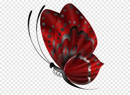 Maybe you would like to learn more about one of these? Butterfly Lead Drawing Beautiful Butterfly Computer Network Heart Png Pngegg