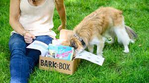 These boxes are made from card paper and are designed to hold single or multiple items. Review Of Barkbox Pupbox And Rescuebox Which Dog Subscription Box Is Best Reviewed