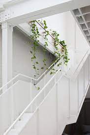 Evolution 7 By Hecker Guthrie Photo Shannon Mcgrath Indoor Planter Box Ledge Decor Interior Stairs