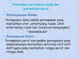 Diafragma adalah otot yang berada di bagian antara rongga dada dengan rongga perut yang berperan dalam proses pernafasan. Perbedaan Pernapasan Dada Dan Perut Dalam Tubuh Kita