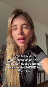 Experiencia viajando con mi bulldog francés a Montevideo