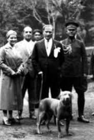 Ataturk Resim Galeri