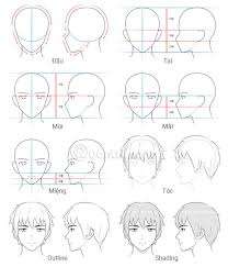 Basic anatomy for side view tools: Guide To Drawing Male Heads And Face Characters