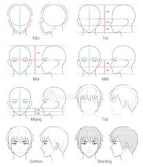 Guide To Drawing Male Heads And Face Characters If you re drawing a male character position the sides of the neck closer to the sides of the jawline to sep 30 2020 explore usagi rin s board anime male base followed by 170 people on pinterest. drawing male heads and face characters