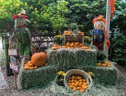Things To Do In Houston This Weekend With Kids October 17 223 2019 Things To Do Farm Kids Stuff To Do