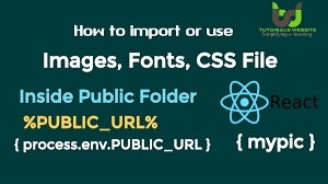 how to import or use images in reactjs