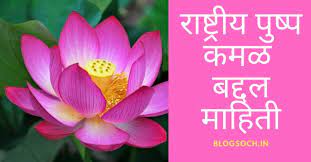 Lotus Flower Information In Marathi Blogsoch Flowers Lotus Flower Rhizome