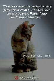 Heaven Has A Kitty Door Pet Quotes Cat Pet Grief Cat Quotes Funny