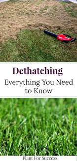 It should begin to come up in piles on your lawn. 9 Best Lawn Dethatching Ideas Dethatching Lawn Dethatching Lawn