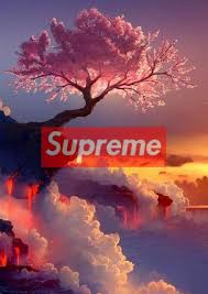 Maybe you would like to learn more about one of these? Aesthetic Supreme Wallpapers Wallpaper Cave