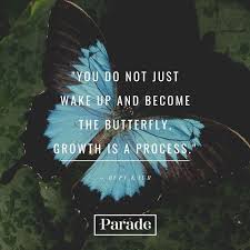 100 Butterfly Quotes Quotes About Butterflies