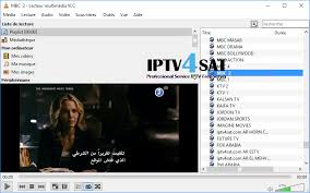 Image result for tv arabe