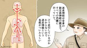 東京脳神経センター