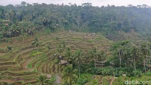 Gambar pemandangan alam ini menjadi bukti akan keindahan alam yang terdapat di beberapa penjuru dunia. 10 Keindahan Dan Pemandangan Alam Indonesia Yang Memukau