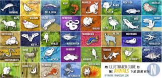 37 Animals That Start With N Animal Alphabet Letters Animals Really Cool Drawings