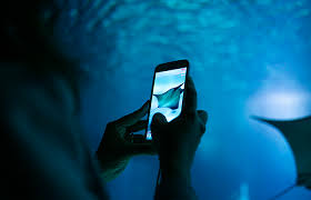 В москве 86 тысяч человек записались на вакцинацию. Dziyouedy6c Dm