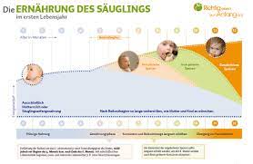 Beikost Stillen Ernahrung Baby Gesundheitsportal