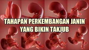 Sebagian orang percaya, jika dengan memperdengarkan musik, terutama musik klasik, dapat mendatangkan manfaat positif untuk janin. Perkembangan Janin Dalam Kandungan 9 Tahap Yang Bikin Takjub Youtube