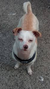 Be carefull in the cold i nearly killed myself and