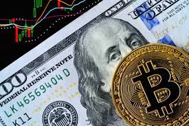 Bitcoin haberleri ve analizleri, anlık kripto para verileri ve blockchain teknolojisi hakkında en güncel içerikler bitcoin sistemi ile sizlerle. A Beginners Guide To Bitcoin Confused Com