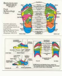 Reflexology Chart Good For Quick Reference And Explaining
