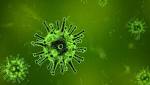  How tumours develop where these gut bacteria thrive