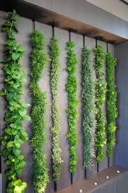 We have a huge range of product to choose from and for quality our price will not be beaten. Indoor Green Wall Ideas Novocom Top