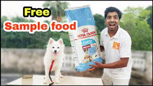 Check spelling or type a new query. How To Get Free Sample Dog Foods Youtube