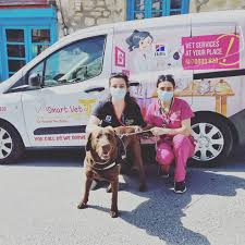 Browse mobile vets by state. Smart Vet Mobile Veterinary Services Home Facebook