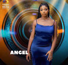 Get to know all you can with this brief biography on the big brother naija 2018 season 3. Ds Ldmmr4xxgdm