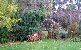 rain garden - Ridgeview