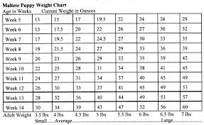 21 competent breed weight chart