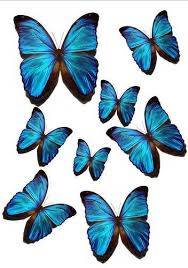 56 X Vivd Blue Edible Butterflies Ideal 4 Wedding Birthday Cake Toppers Wb6 Edible Butterfly Butterfly Cutout Birthday Cake Toppers