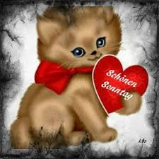 Lustiges bild 'guten morgen.gif' von steffen. Gute Nacht Fotos Und Bilder Fur Whatsapp Und Gif For Android Apk Download