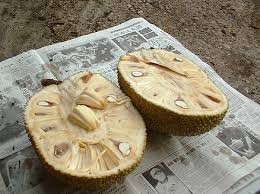 Maybe you would like to learn more about one of these? Jackfruit Wikiwand