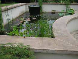 We did not find results for: The Ultimate Koi Pond 15 Steps With Pictures Instructables