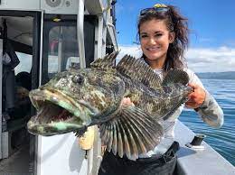 Beautiful Ling Fish Fishing World Great Friends