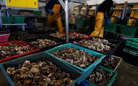 Et cela, aussi bien du côté du neuf que des produits de quoi nourrir vos convictions personnelles avec la référence dictionnaire mot fleche si la seconde main fait partie intégrante de vos habitudes d'achat. Manche Le Coup De Pouce Du Departement Pour Aider Les Ostreiculteurs A Recruter Le Parisien