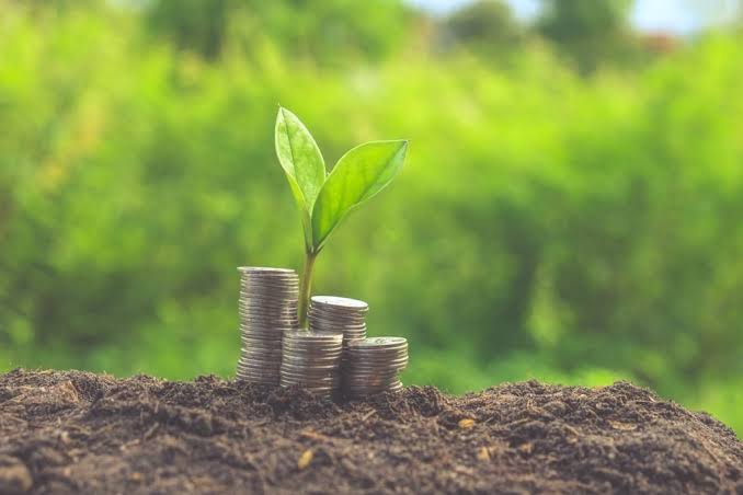 چگونه زمین ارزشمند را تشخیص دهیم؟ 