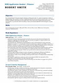 application analyst resume samples
