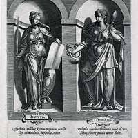 Image result for Justicia nuttii