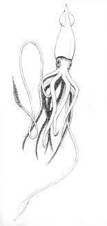 / ausmalbild riesenkalmar kostenlos zum ausdrucken. Image Result For Giant Squid Tattoo Designs