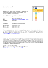 Image result for Coleus betonicifolius