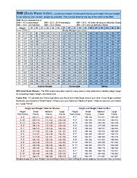 36 free bmi chart templates for women men or kids