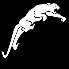 White Panthers Whitepanthers1 Twitter