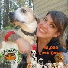 Dog Who's Been In Shelter For 3 Years Gets Tinder Profile